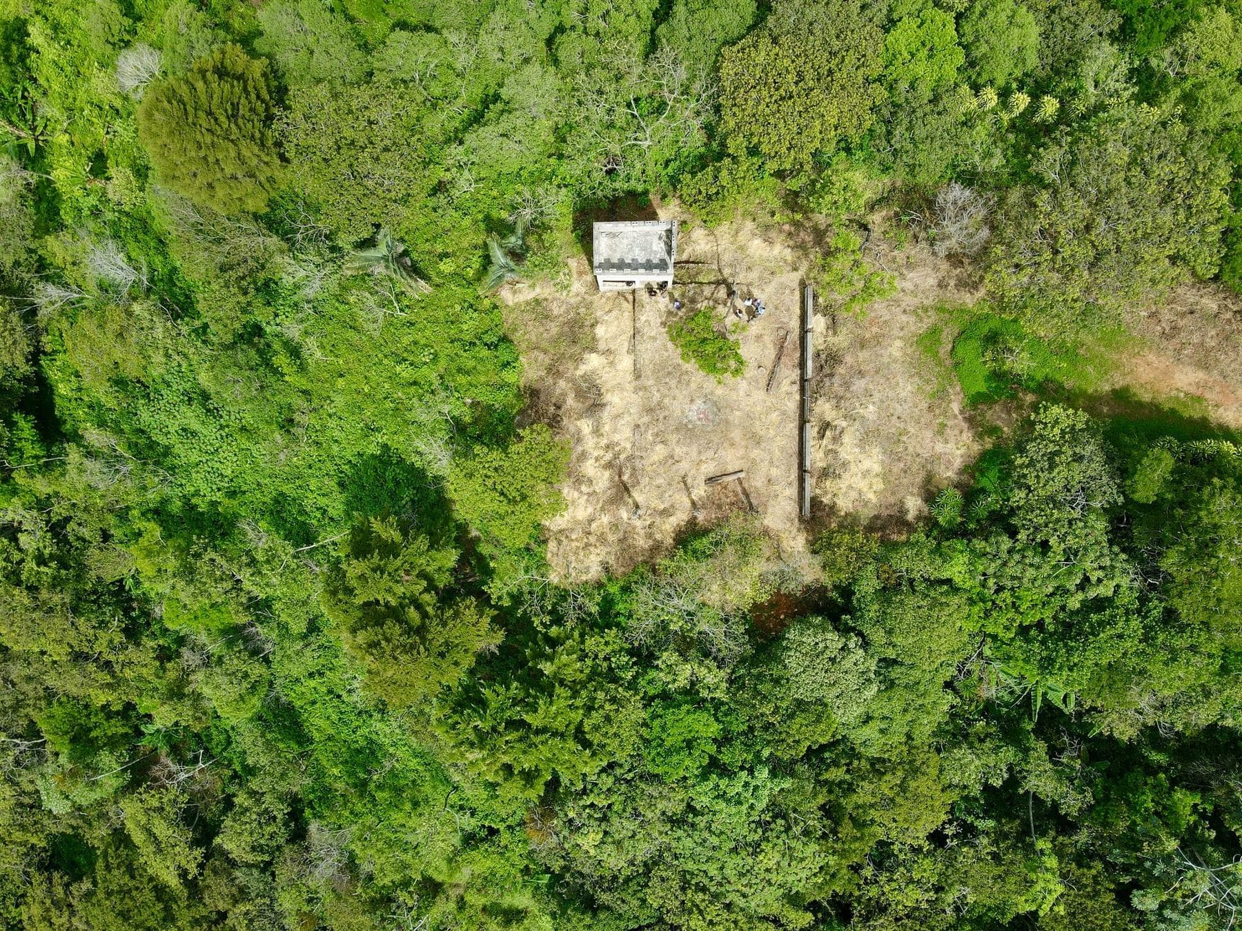 A small building in a clearing surrounded by dense forest, seen from directly above